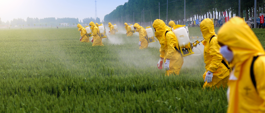 Pesticides in Your Food: What Every Indian Family Should Know (And How to Protect Yourself)