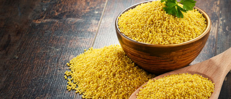 10 Powerful Health Benefits of Millets: Why This Ancient Grain Deserves a Place on Every Indian Plate