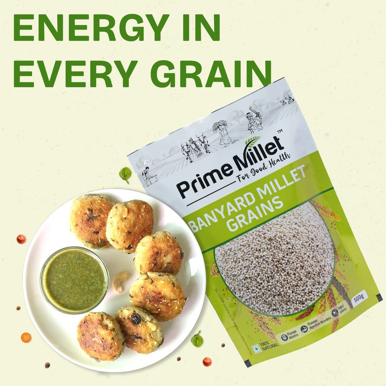 Barnyard Millet Grains (500g)