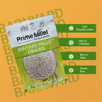 Barnyard Millet Grains (500g)