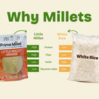Little Millet Grains(500g)