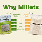 Barnyard Millet Grains (500g)