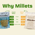 Jowar Millet Grains (500g)