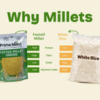 Foxtail Millet Grains (500g)