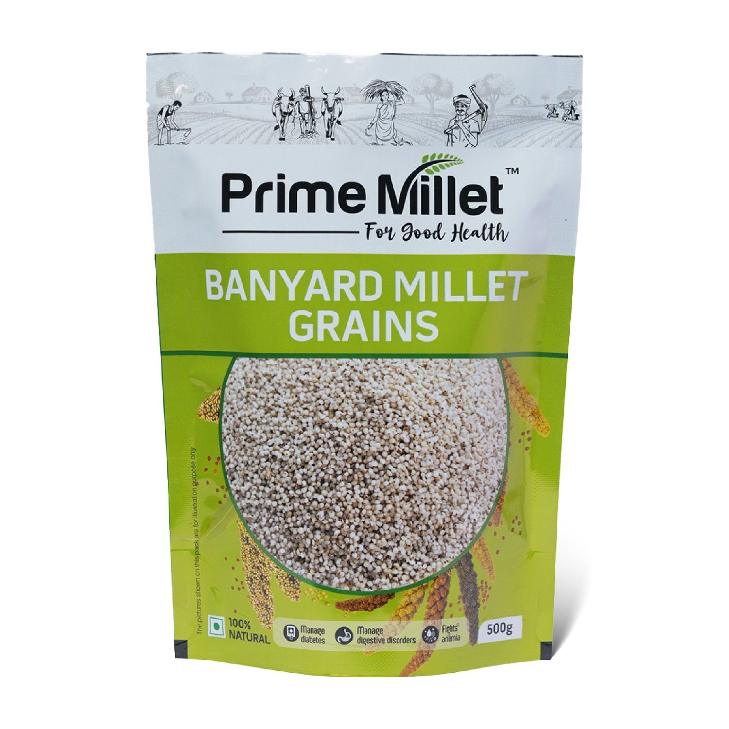 Barnyard Millet Grains (500g)