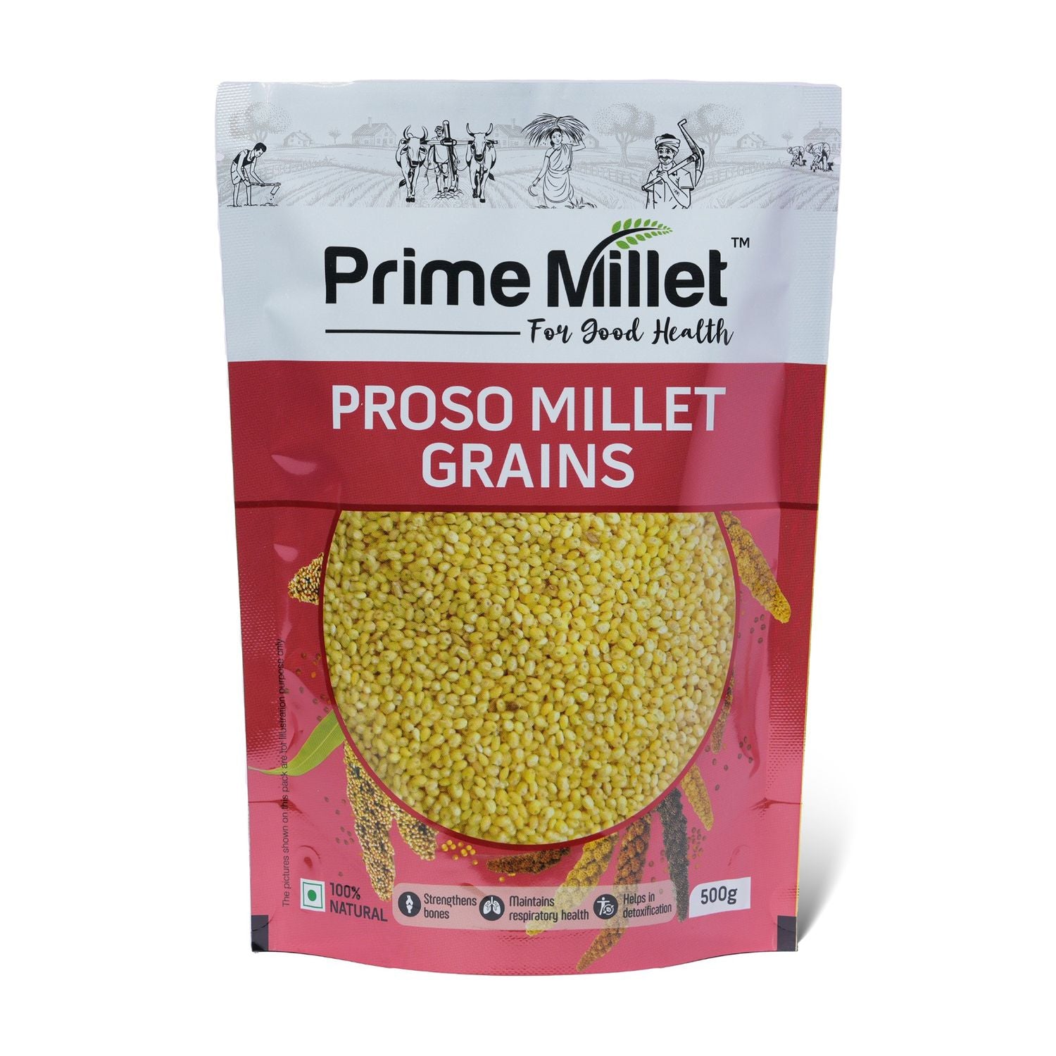 Proso Millet Grains (500g)